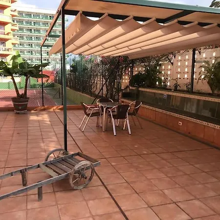 View - * Puerto de la Cruz (Tenerife)
