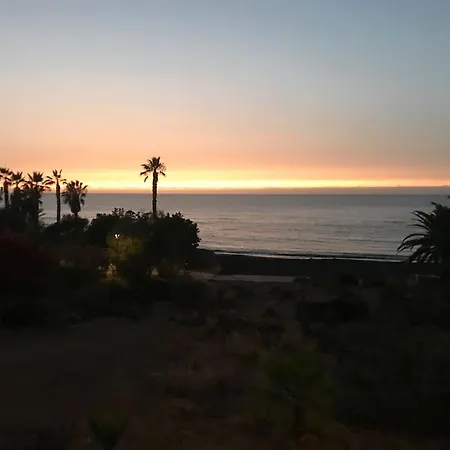 View - *